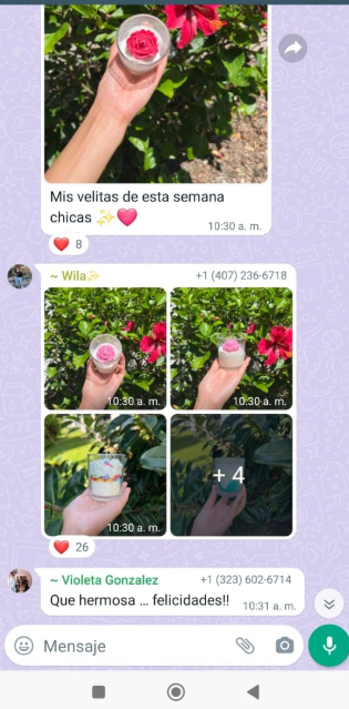 Captura de tela 2025-03-28 124724